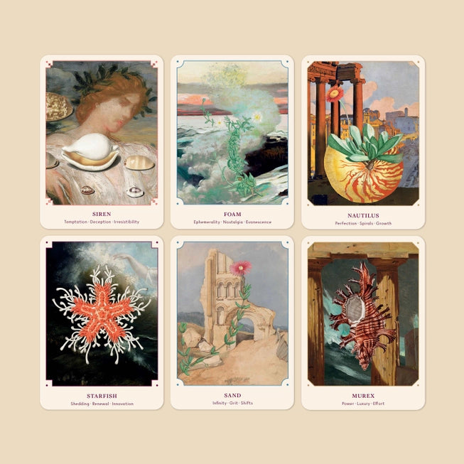The Seashell Oracle Cards