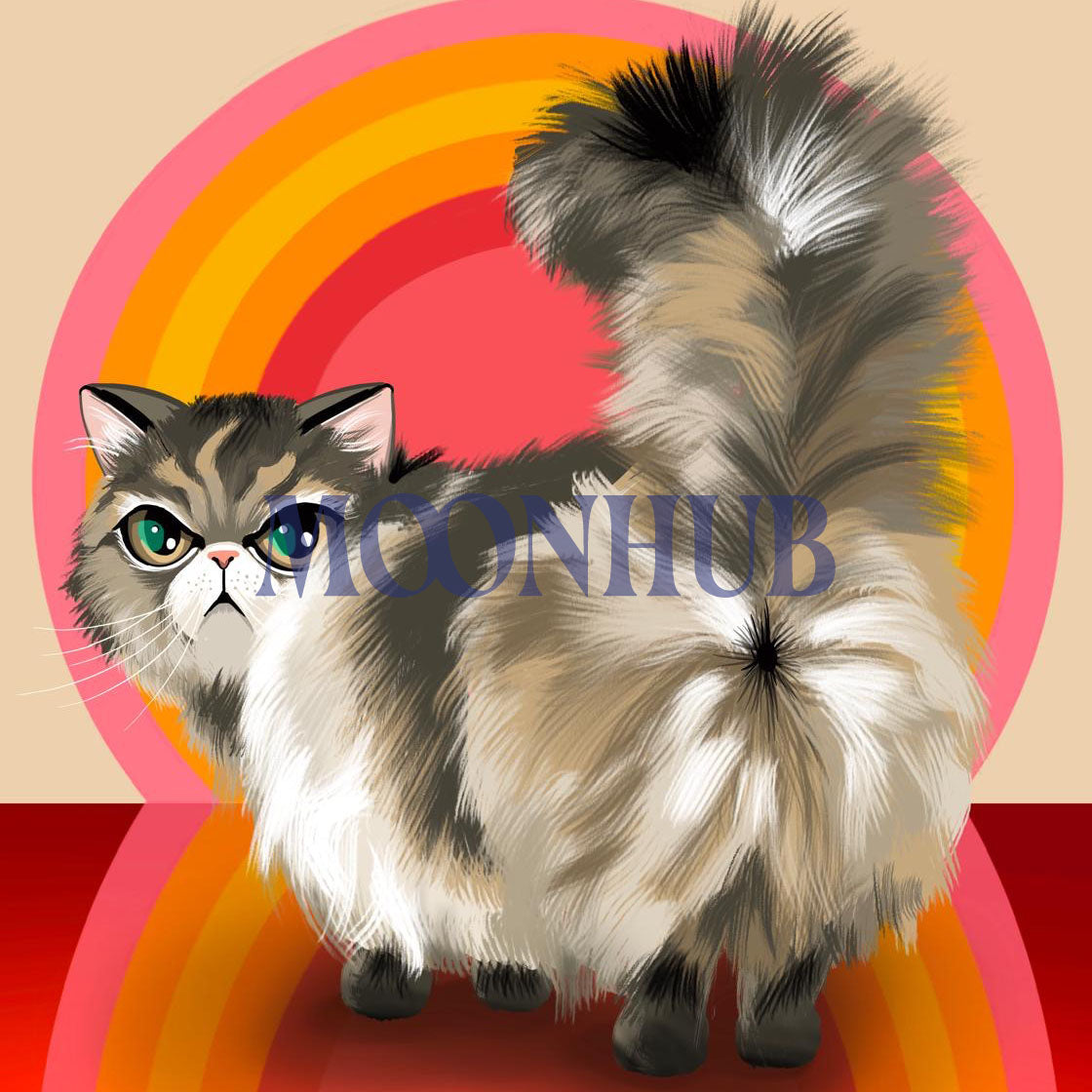 Magic Cat Stickers – Must Have Edition