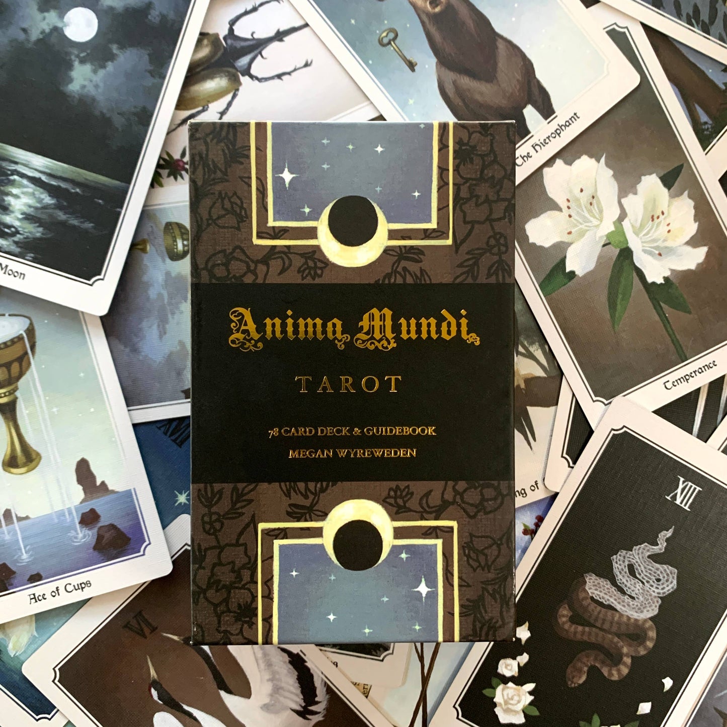 Anima Mundi Tarot