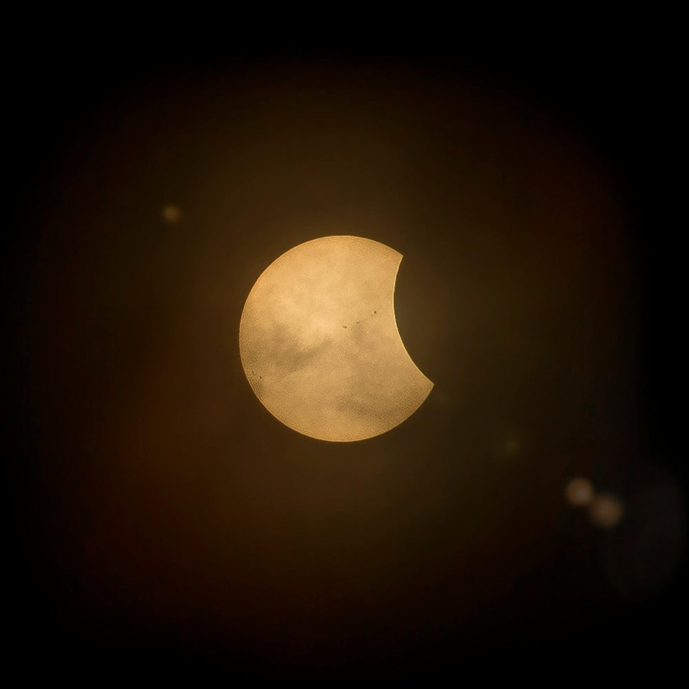 Vollmond und Mondfinsternis im Zeichen Fische: Die Nacht der grossen Reinigung