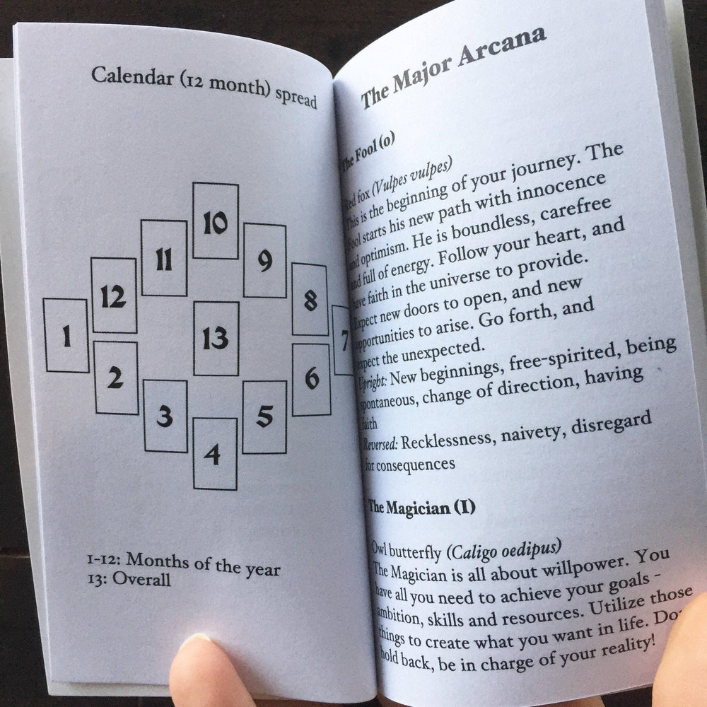 
                      
                        Anima Mundi Tarot
                      
                    