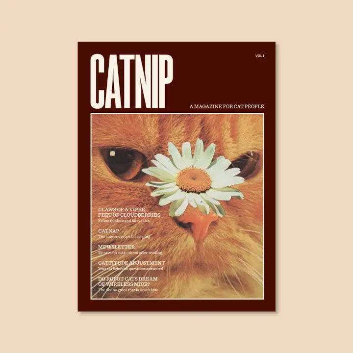 Catnip Magazin